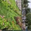 Parque Mariscal Gamarra
