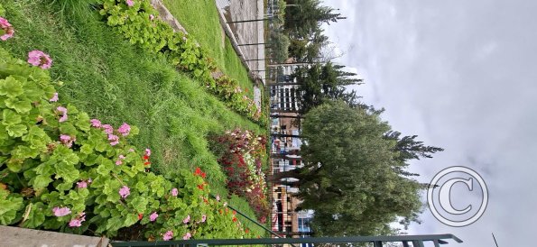 Parque Mariscal Gamarra
