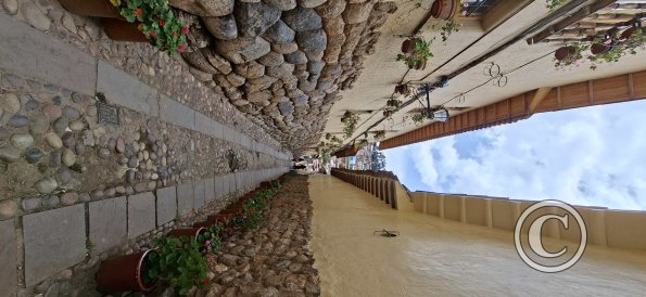 Peatonal Ladrillas