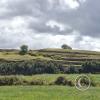 Saqsaywaman (2)