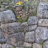 Saqsaywaman (34)