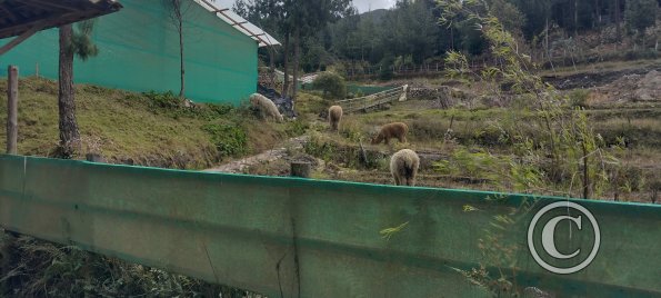 IMG_20250803_121638879_HDR