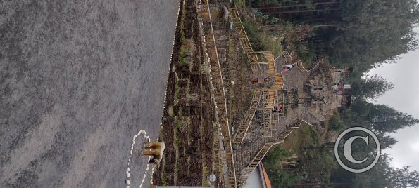 IMG_20250803_122845956_HDR