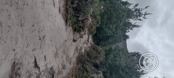 IMG_20250803_124035725_HDR