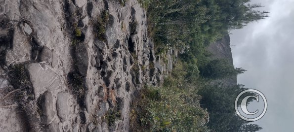 IMG_20250803_124410632_HDR