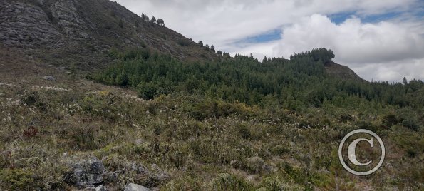 IMG_20250803_124851171_HDR