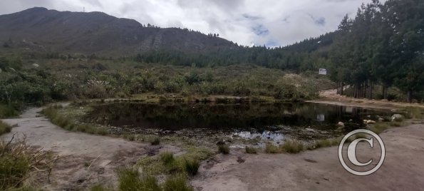 IMG_20250803_130431677_HDR