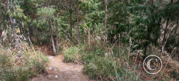 IMG_20250803_131012622_HDR
