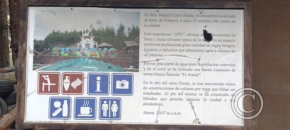 IMG_20250803_132259737