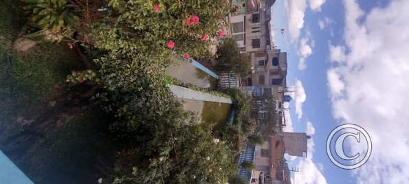 IMG_20250803_134743178_HDR