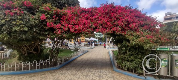 IMG_20250803_140141503_HDR
