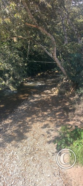 IMG_20250703_142501609_HDR
