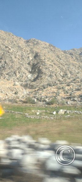 IMG_20250622_083034596