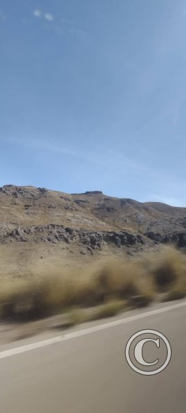 IMG_20250622_095958561