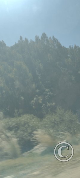 IMG_20250622_120806228
