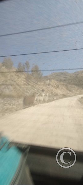 IMG_20250622_120827720_HDR