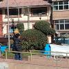 IMG_20250622_150106607_MP
