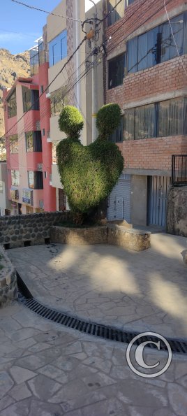 IMG_20250622_151743699