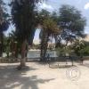 Balneario de Huacachina (2)
