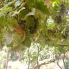 IMG_20230304_111805885
