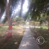 Parque Santa Anita
