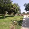 Parque Santo Domingo de Marcona 1
