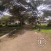 Parque Simon Bolivar 2