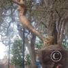 Parque as Brujas de Cachiche 16