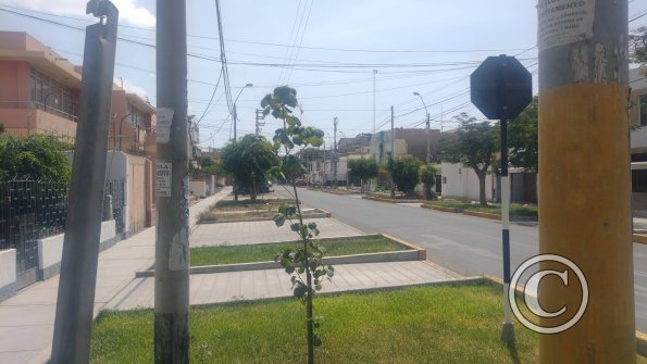 Prolongacion Pablo Fernandini y Av. Luis Jeronimo de Cabrera