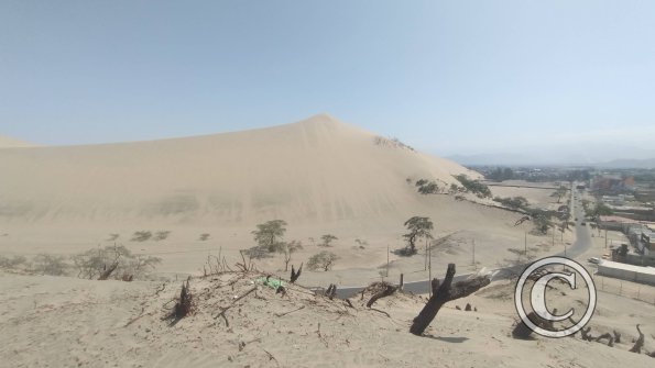 View from a sand dune outside of Huacachina (3)
