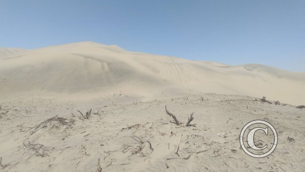 View from a sand dune outside of Huacachina (5)