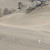 View of Ica from a sand dune outside of Huacachina (6)
