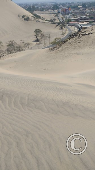 View of Ica from a sand dune outside of Huacachina (6)