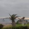 Malecon Costanera near Calle Las Orquideas (5)