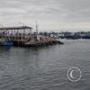 Muelle de Ilo at the Malecon y Av. 28 de Julio (3)