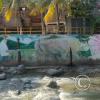 Mural - Rio Amoju near Jiron Manco Capac y Mariano Melgar (2)