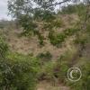 View from an unnamed road along the west edge of the town (5)