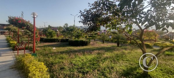 IMG_20250709_170753774_HDR