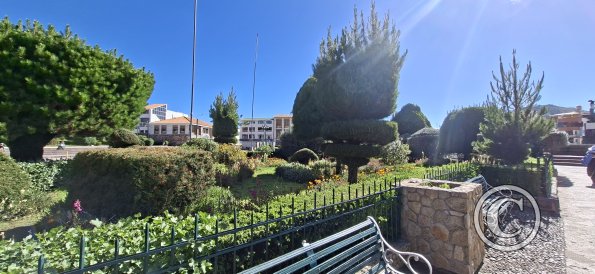 Plaza Mayor (2)