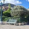 Plaza Mayor (3)