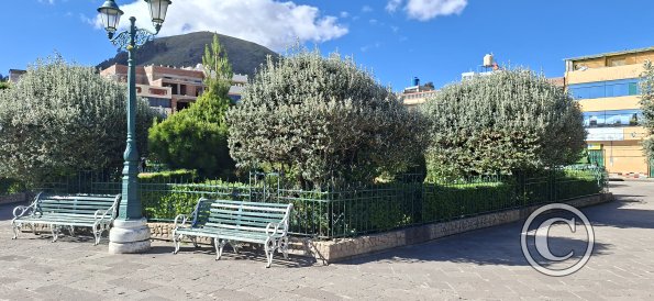 Plaza Mayor (3)