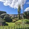 Plaza Mayor (7)