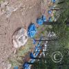 Hillside Miniature Structures (5)