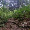 Fundo San José Parque Ecológico (5)