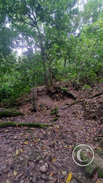 Fundo San José Parque Ecológico (6)