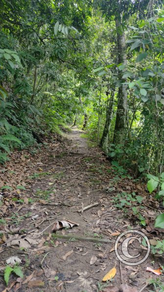 Fundo San José Parque Ecológico (9)