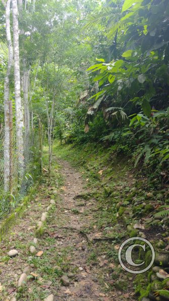 Fundo San José Parque Ecológico
