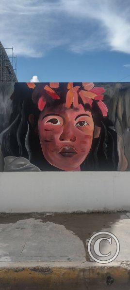 Mural alongside the stadium on Av. Nino Jesus de Praga