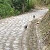 Road leading up to Mirador Cerro la Cruz (4)