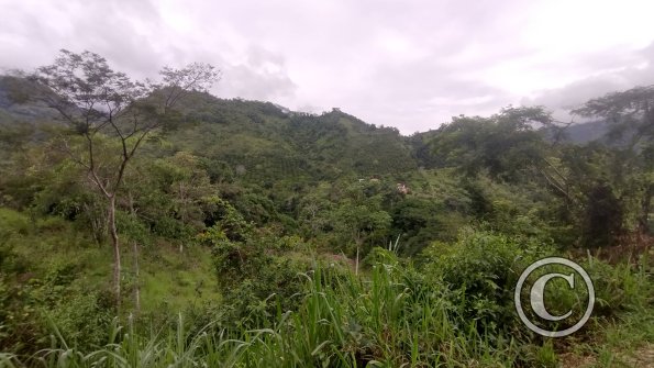 Road leading up to Mirador Cerro la Cruz (7)